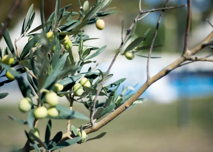 Berksoy Szálloda 3*